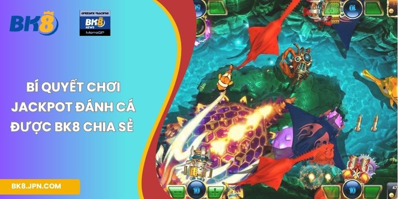 Bí quyết chơi Jackpot đánh cá được BK8 chia sẻ