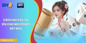 Cách soi cầu Tài Xỉu cho người mới bắt đầu