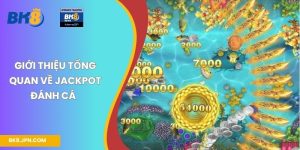 Giới thiệu tổng quan về Jackpot đánh cá  