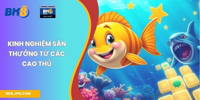Kinh nghiệm săn thưởng từ các cao thủ